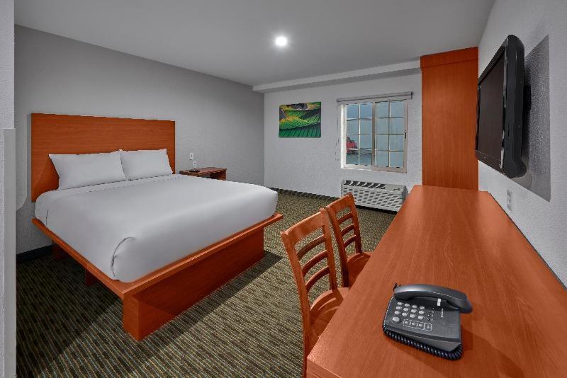 Extended Suites Monterrey Aeropuerto 객실 사진